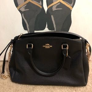 Coach Mini Sage Carryall Purse